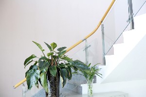 山西省整形外科医院