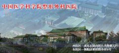 中国医学科学院整形外科医院整形科