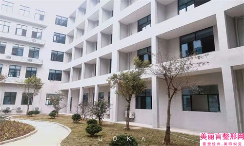湛江市切除副乳医生在榜名单美容-湛江市切除副乳医生